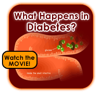 What Happens in Diabetes? What Happens in Diabetes?