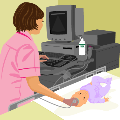 head_ultrasound head_ultrasound
