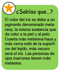 Teen Eyes sidebar spanish Teen Eyes sidebar spanish