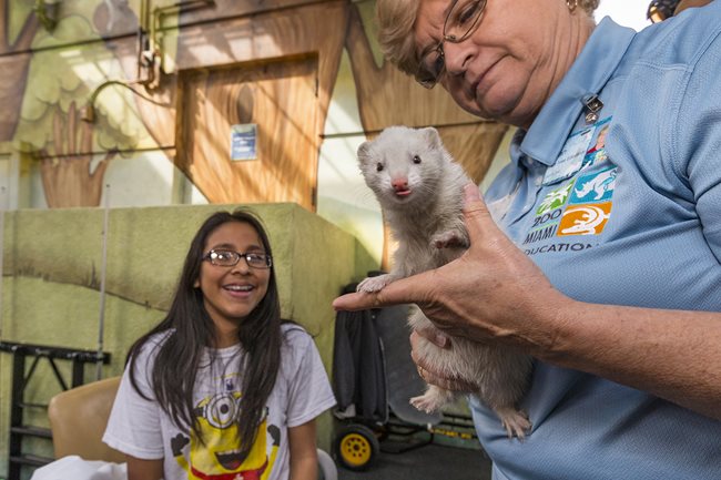 Zoos Bring Animal Kingdom to Patients at Nicklaus Children’s Hospital