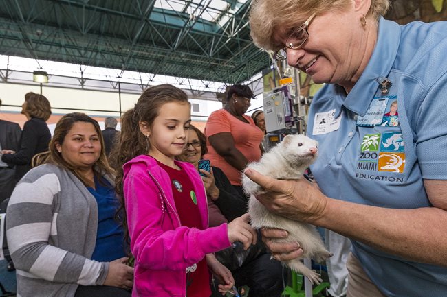 Zoos Bring Animal Kingdom to Patients at Nicklaus Children’s Hospital