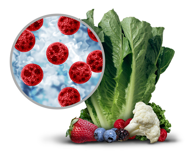 bacteria parasite illustration.