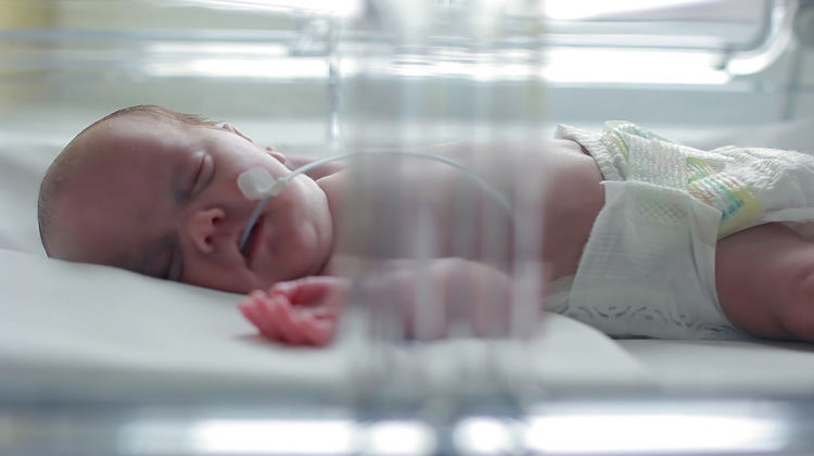 newborn baby peacefully sleeping in incubator after heart surgery. click to watch video.