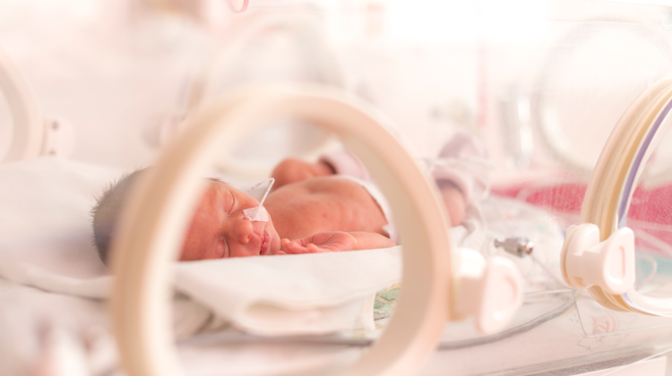 bebé prematuro en un incubador de cuidados críticos.