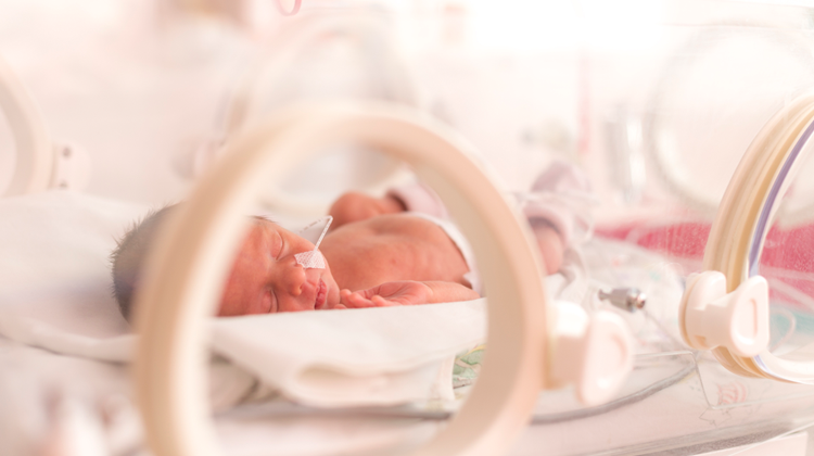 premature baby in incubator.