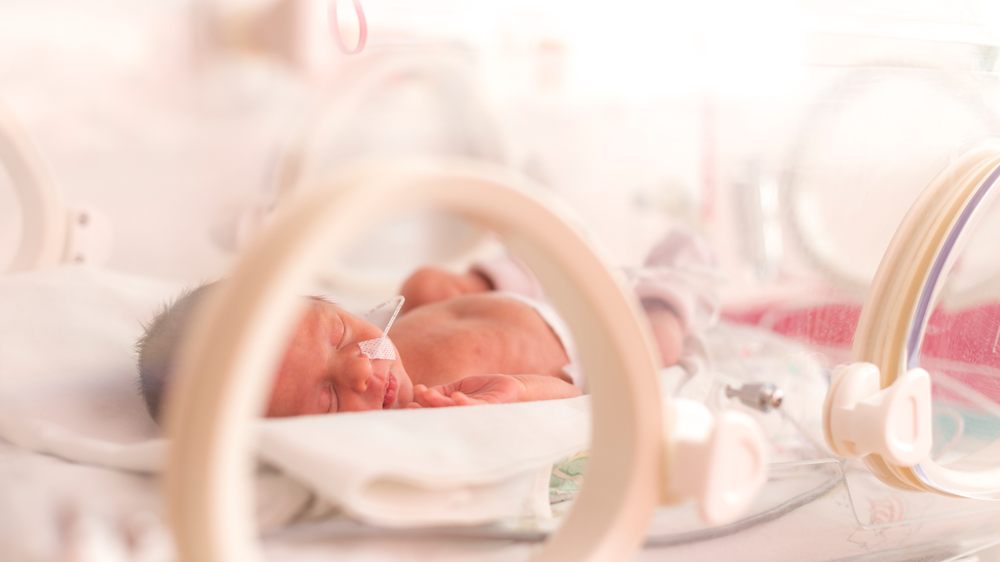 bebé prematuro en un incubador de cuidados críticos.