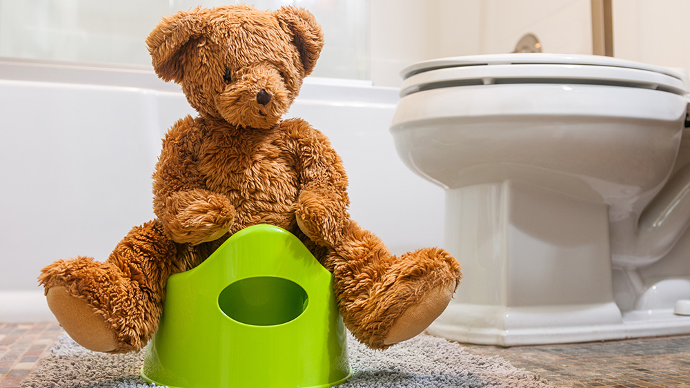 teddy bear sitting on a potty trainer.
