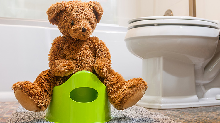 teddy bear sitting on a potty trainer.