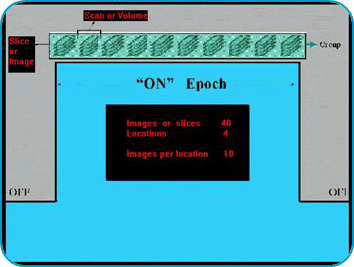 screenshot of the software