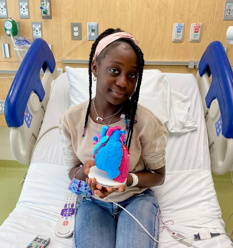 Rosemaylee holding a up a 3D printed heart while sitting on a hospital bed. 