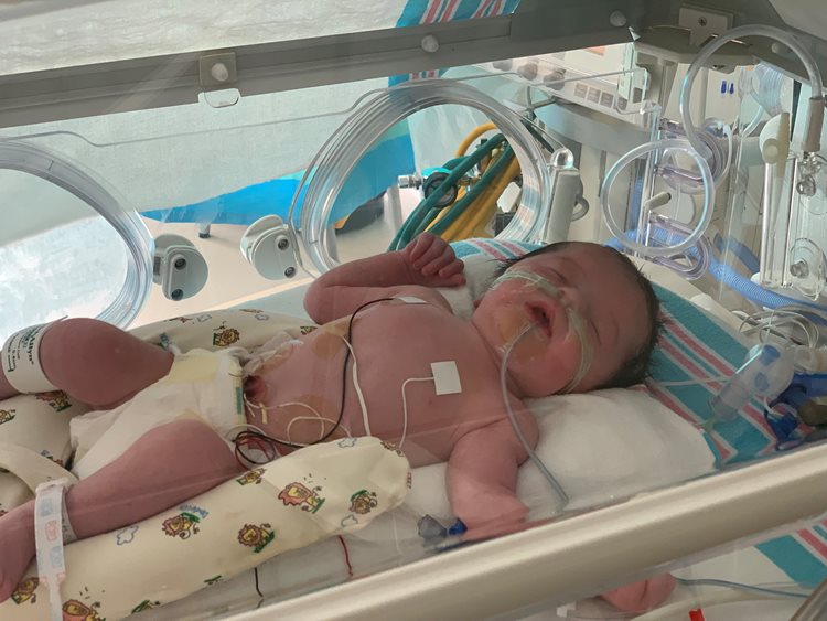 Francesca in a incubator sleeping.