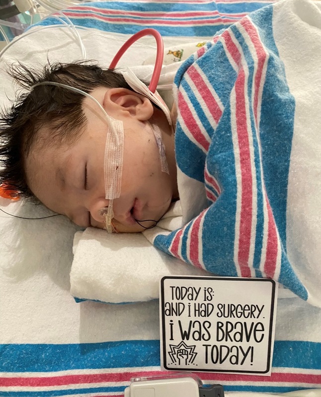Sebastian sleeping after his surgery