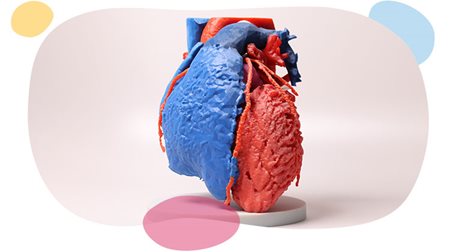 Modelo impreso en 3d en resina azul y roja