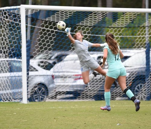 Stephanie defends soccer ball from going in the net.