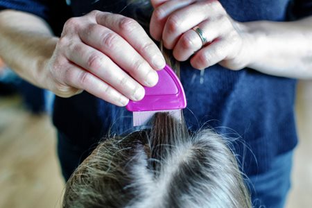 parent using a fine-toothed comb