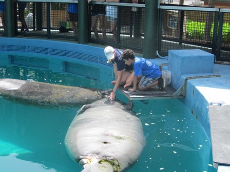 Miami Seaquarium